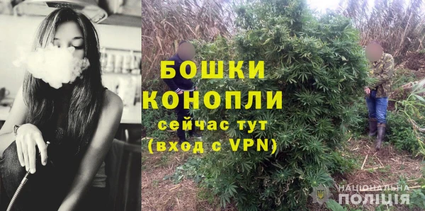 ГАЛЛЮЦИНОГЕННЫЕ ГРИБЫ Арсеньев